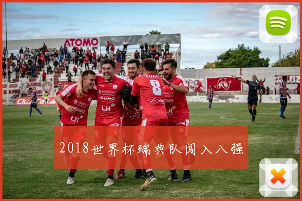 2018世界杯瑞典队闯入八强