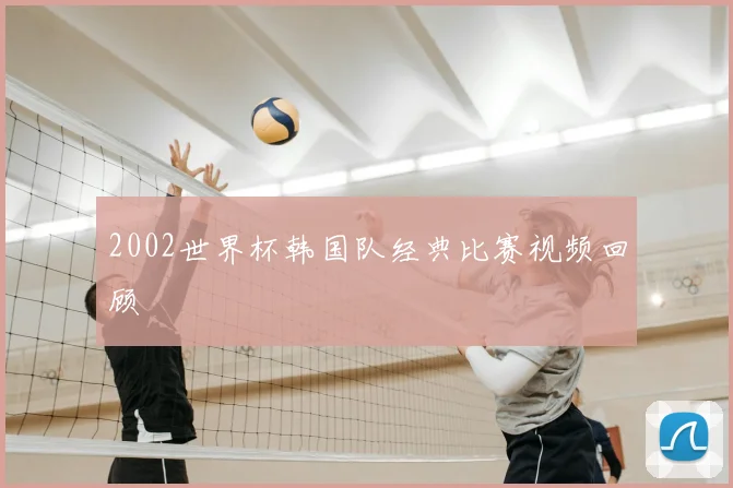 2002世界杯韩国队经典比赛视频回顾