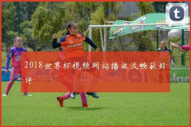 2018世界杯视频网站播放流畅获好评