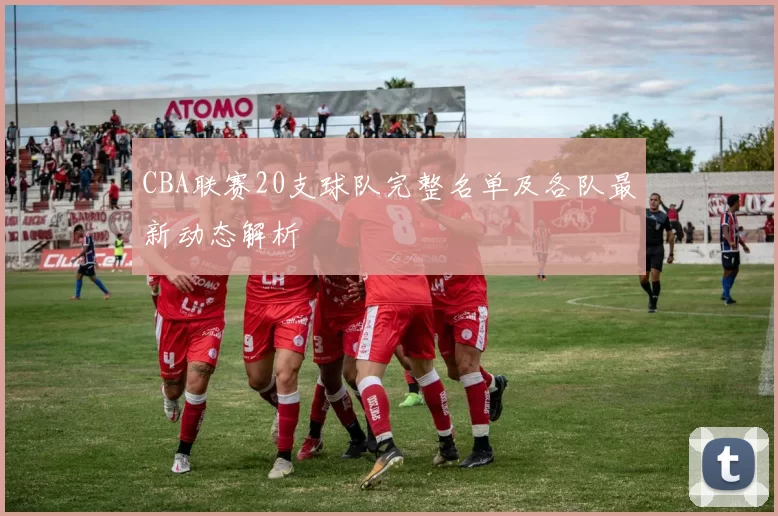 CBA联赛20支球队完整名单及各队最新动态解析