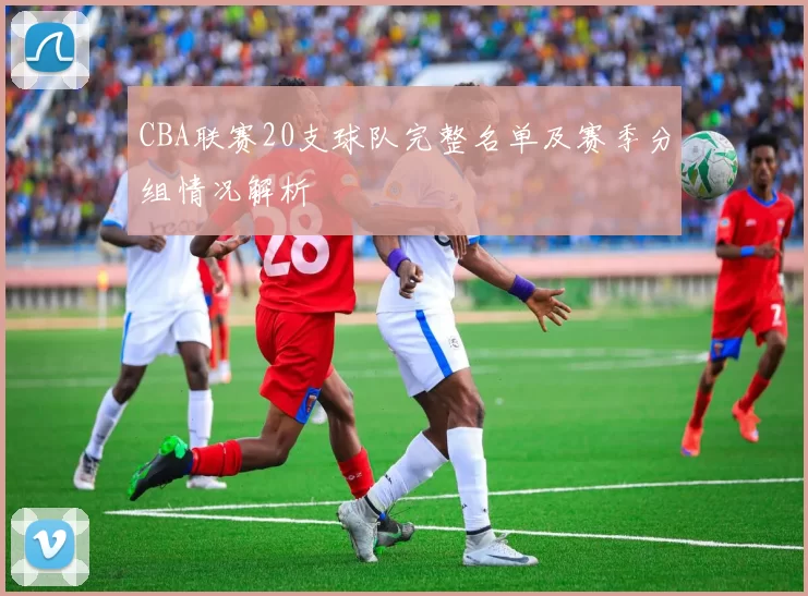 CBA联赛20支球队完整名单及赛季分组情况解析