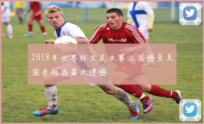 2018年世界杯女足决赛法国憾负美国夺冠成最大遗憾