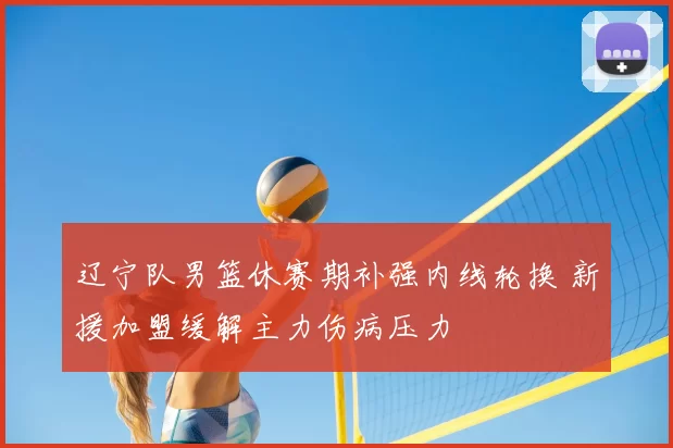 辽宁队男篮休赛期补强内线轮换 新援加盟缓解主力伤病压力